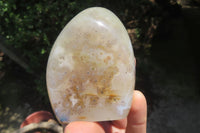 Polished Dendritic Agate Standing Free Forms x 5 From Madagascar