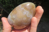 Polished Dendritic Agate Standing Free Forms x 5 From Madagascar