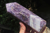 Polished Lepidolite Points x 2 From Madagascar