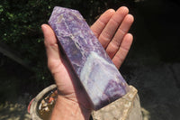 Polished Lepidolite Points x 2 From Madagascar