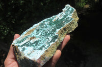 Natural Drusy Coated Malacolla On Dolomite Specimens x 2 From Likasi, Congo