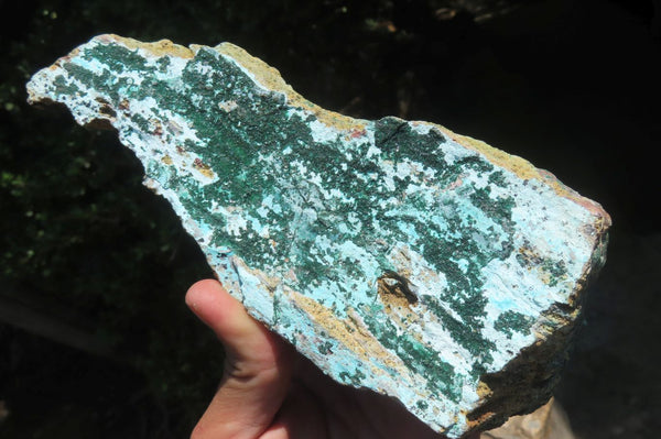 Natural Drusy Coated Malacolla On Dolomite Specimens x 2 From Likasi, Congo