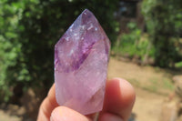 Polished Smokey Window Amethyst Quartz Crystals x 24 From Akansobe, Madagascar