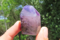 Polished Smokey Window Amethyst Quartz Crystals x 24 From Akansobe, Madagascar