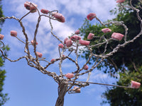 Hand Made Pink Rubellite Tourmaline Copper Wire Wrap Tree x 1 From KwaZulu Natal, South Africa