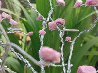 Hand Made Pink Rubellite Tourmaline Copper Wire Wrap Tree x 1 From KwaZulu Natal, South Africa