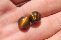 Polished Pair of Golden Tigers Eye Stud Earrings - Sold Per Pair - From Northern Cape, South Africa