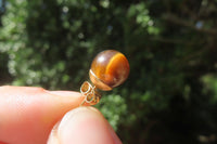 Polished Pair of Golden Tigers Eye Stud Earrings - Sold Per Pair - From Northern Cape, South Africa