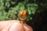 Polished Pair of Golden Tigers Eye Stud Earrings - Sold Per Pair - From Northern Cape, South Africa