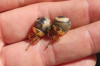 Polished Pair of Larger Snakeskin Rhyolite Jasper Stud Earrings - sold per Pair - From Australia