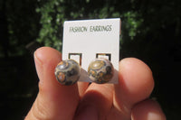 Polished Pair of Larger Snakeskin Rhyolite Jasper Stud Earrings - sold per Pair - From Australia