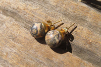 Polished Pair of Larger Snakeskin Rhyolite Jasper Stud Earrings - sold per Pair - From Australia