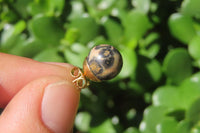 Polished Pair of Larger Snakeskin Rhyolite Jasper Stud Earrings - sold per Pair - From Australia