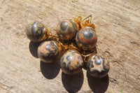 Polished Pair of Larger Snakeskin Rhyolite Jasper Stud Earrings - sold per Pair - From Australia