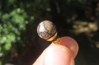 Polished Pair of Larger Snakeskin Rhyolite Jasper Stud Earrings - sold per Pair - From Australia