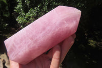 Polished Rose Quartz Point x 1 From Madagascar