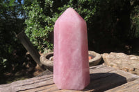 Polished Rose Quartz Point x 1 From Madagascar