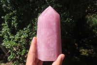 Polished Rose Quartz Point x 1 From Madagascar