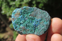 Natural Shattuckite Cobbed Specimens x 2.3 Kg Lot From Namibia