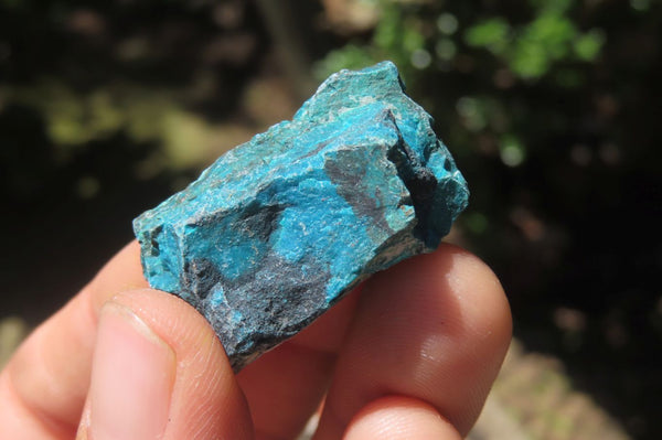 Natural Shattuckite Cobbed Specimens x 2.3 Kg Lot From Namibia