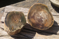 Polished Petrified Wood Branch Pieces x 2 From Gokwe, Zimbabwe