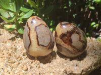 Polished Large Septerye Eggs - Sold Per Item - From Madagascar