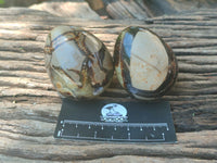 Polished Large Septerye Eggs - Sold Per Item - From Madagascar