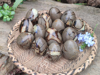 Polished Large Septerye Eggs - Sold Per Item - From Madagascar