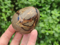 Polished Large Septerye Eggs - Sold Per Item - From Madagascar