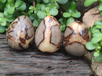 Polished Large Septerye Eggs - Sold Per Item - From Madagascar