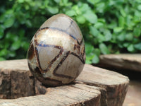 Polished Large Septerye Eggs - Sold Per Item - From Madagascar