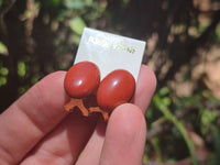 Polished Pair of Red Jasper Cabochon Stud Clip Earrings - Sold per Pair - From South Africa