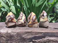 Polished Septerye Flame Sculptures x 6 From Madagascar