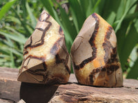 Polished Septerye Flame Sculptures x 6 From Madagascar