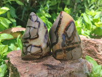 Polished Septerye Flame Sculptures x 6 From Madagascar