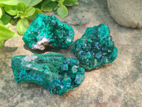 Natural Dioptase On Dolomite Specimens x 4 From Likasi, Congo