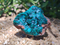 Natural Dioptase On Dolomite Specimens x 4 From Likasi, Congo