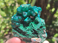 Natural Dioptase On Dolomite Specimens x 4 From Likasi, Congo