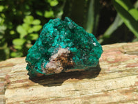 Natural Dioptase On Dolomite Specimens x 4 From Likasi, Congo