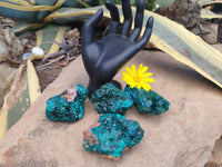 Natural Dioptase On Dolomite Specimens x 4 From Likasi, Congo