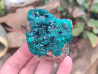 Natural Dioptase On Dolomite Specimens x 4 From Likasi, Congo