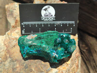 Natural Dioptase On Dolomite Specimens x 4 From Likasi, Congo