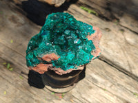 Natural Dioptase On Dolomite Specimens x 4 From Likasi, Congo