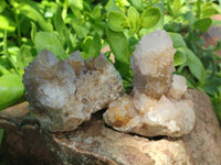 Natural Spirit Quartz Clusters x 7 From Boekenhouthoek, South Africa