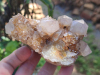 Natural Spirit Quartz Clusters x 7 From Boekenhouthoek, South Africa