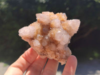 Natural Spirit Quartz Clusters x 7 From Boekenhouthoek, South Africa