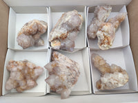 Natural Spirit Quartz Clusters x 7 From Boekenhouthoek, South Africa