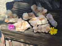 Natural Spirit Quartz Clusters x 7 From Boekenhouthoek, South Africa