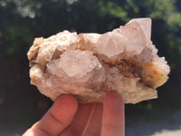 Natural Spirit Quartz Clusters x 7 From Boekenhouthoek, South Africa