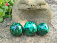 Polished Flower Banded Malachite Gemstone Eggs x 6 From Congo